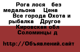 Рога лося , без медальона. › Цена ­ 15 000 - Все города Охота и рыбалка » Другое   . Кировская обл.,Соломинцы д.
